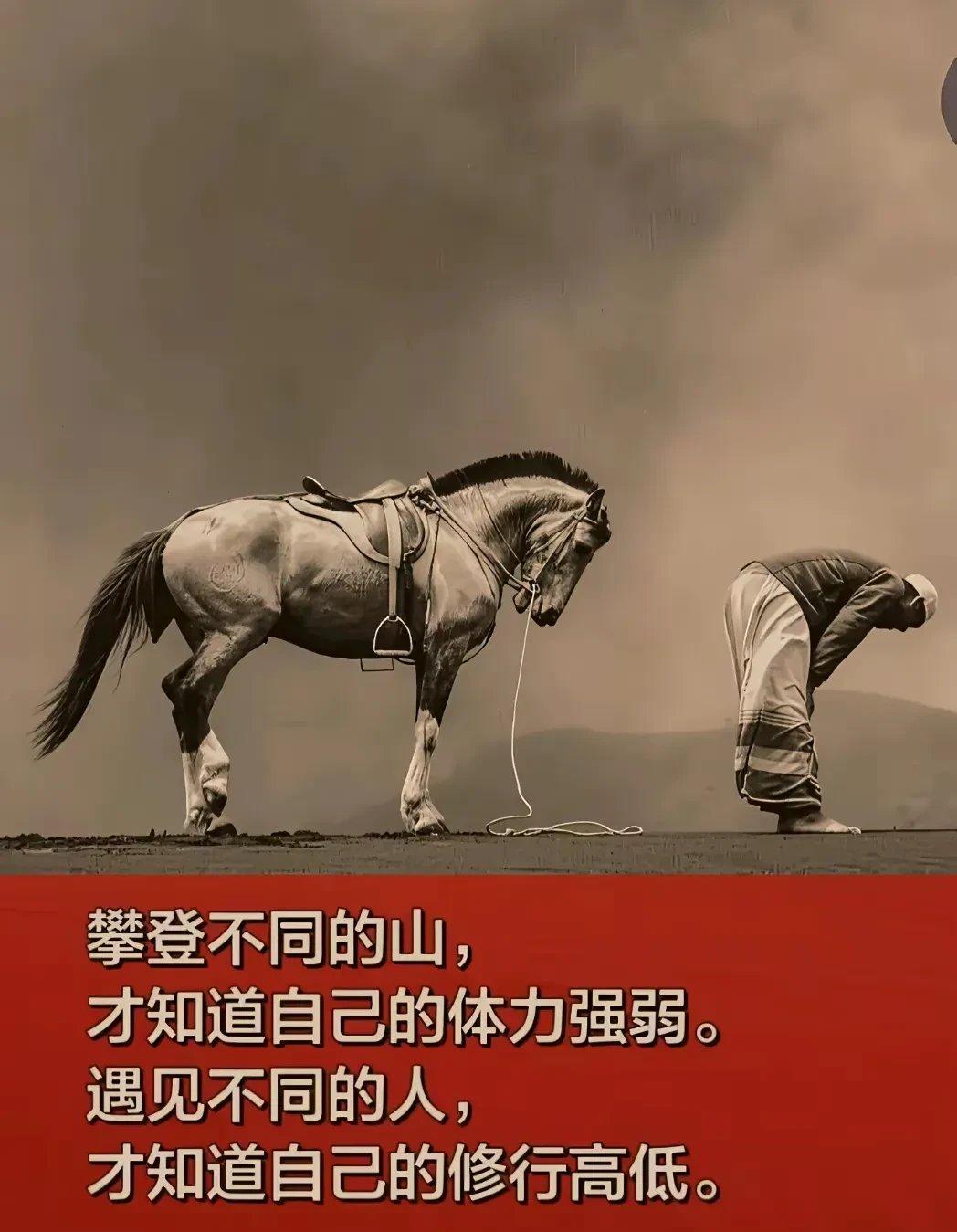 包含里昂力拼佛罗伦萨，昂首向前勇往直前的词条