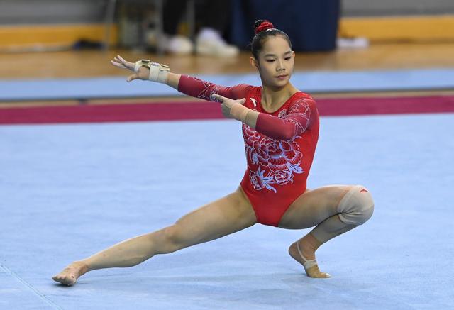 中国体操队壮丽表演,收获好评 中国体操队壮丽表演,收获好评